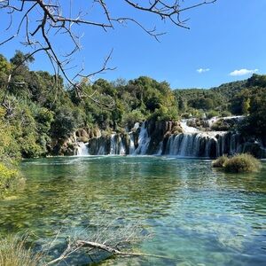 Meet your Posher, Gali